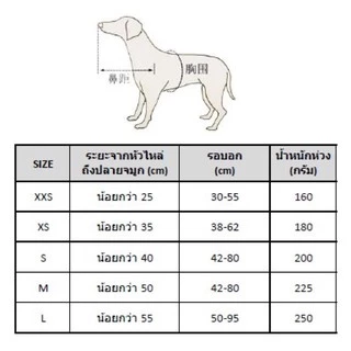 ห่วงกันชน สำหรับ สุนัขตาบอด (Blind Dog Halo) [พร้อมส่ง]