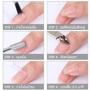 กรรไกรตัดหนัง สแตนเลส อย่างดี D501 พร้อมส่ง!