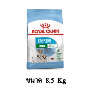 Royal Canin MINI STARTER อาหารสุนัขขนาดจิ๋ว/เล็ก(แม่และลูกสุนัข)ขนาดเล็ก แบบเม็ด ขนาด 8.5 KG.