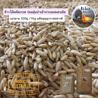 🌾ข้าวโอ๊ตคัดเกรด ร่อนฝุ่นนำเข้าจากออสเตรเลีย🌾 แบ่งขาย 500g /1Kg แพ๊คสุญญากาศอย่างดี