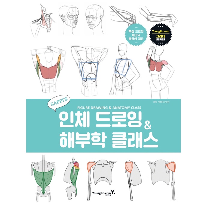 Figure Drawing & Anatomy Class by SAPPI, How to Draw Figure, Drawing Book IGX9