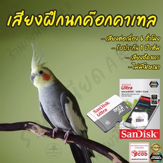 รวมเพลงฝึก นกค๊อกคาเทล Cockatiel ยาว6ชั่วโมง ไม่มีโฆษณา เมมโมรี่เล็ก(Micro SD) มีเก็บเงินปลายทาง