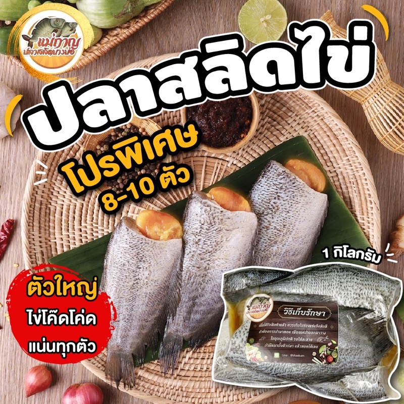 ปลาสลิดสดๆ มีไข่แน่นเต็มท้อง แพ็กละ 8-10 ตัว / 1 กิโลกรัม  แม่กาญปลาสลิด