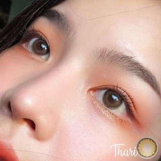 คอนแทคเลนส์ Thari Gray / Brown (Wink Lens) ขนาดมินิ ✨