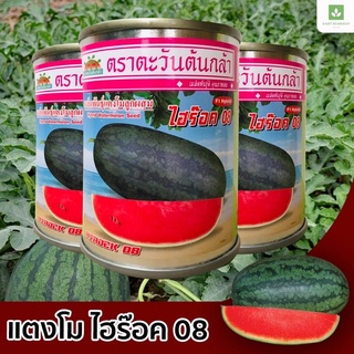 ไฮร๊อค 08 แตงโม ตอปิโด 40กรัม ตราตะวันต้นกล้า ไฮร็อค08 แตงโมตอปิโด