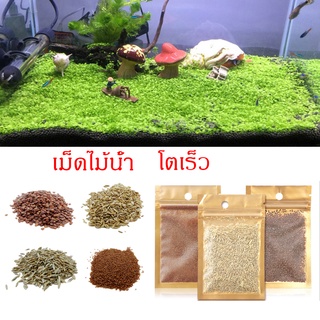 พร้อมส่งจากไทย เม็ดไม้น้ำ ไม้น้ำตู้ปลา เมล็ดพันธุ์ไม้น้ำ 5g ดินปลุกไม้น้ำ ดินใส่ตู้ปลา ดินไม้น้ำ ดินอุดมสมบูรณ์