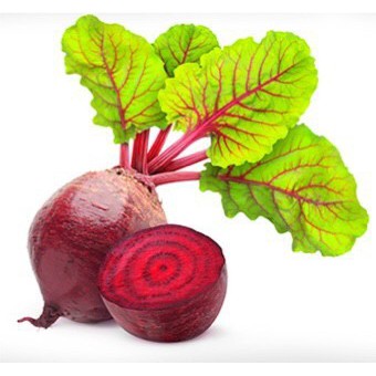 เมล็ดพันธุ์ หัวบีทรูท ดีทรอย (Detroit Dark Red Beet) บรรจุ20 เมล็ด