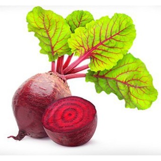เมล็ดพันธุ์ หัวบีทรูท ดีทรอย (Detroit Dark Red Beet) บรรจุ20 เมล็ด