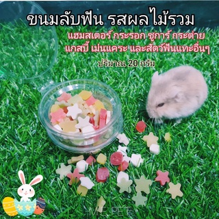 ขนมลับฟันสัตว์ฟันแทะ 20กรัม ขนมลับฟันรสผลไม้รวม สำหรับแฮมสเตอร์ กระรอก ชูการ์ ดอร์เมาส์ (ลับฟันดาว)