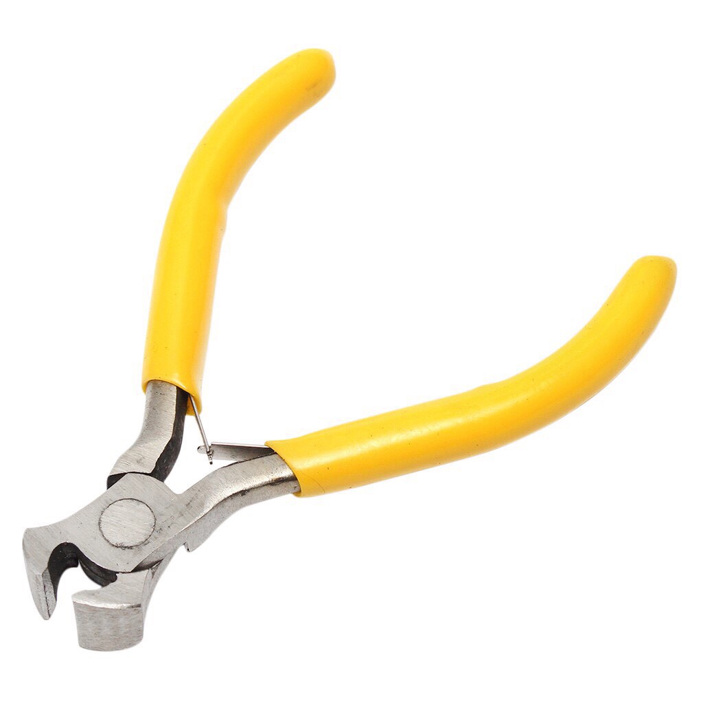 อันดับหนึ่ง 91+ ภาพพื้นหลัง คีม ปากนกแก้ว คมชัด