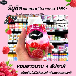 🔥 Renuzit เจลปรับอากาศ Forever Raspberry 198 กรัม (6676) รีนูซิต หอมธรรมชาติ 98% ขายดีอันดับ 1 ในอเมริกา