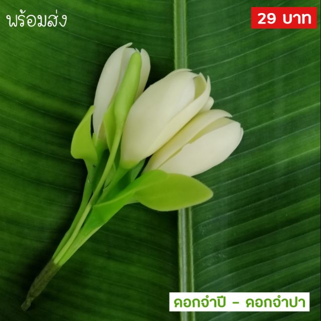 ดอกไม้ติดผม​ ดอกไม้ปักผม​ ดอกจำปี ดอกไม้ประดิษฐ์