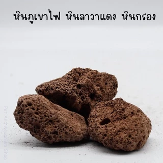 หินลาวา**วัสดุกรองจากธรรมชาติ ช่วยดูดซับสารพิษ สารแอมโมเนีย ไนไตรต์ ไนเตรต มีรูพรุนสูง** ช่วยกรองน้ำใส