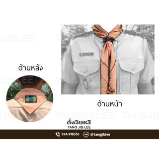 ผ้าพันคอ ผู้กำกับลูกเสือ และรองผู้กำกับลูกเสือ สีกะปิ