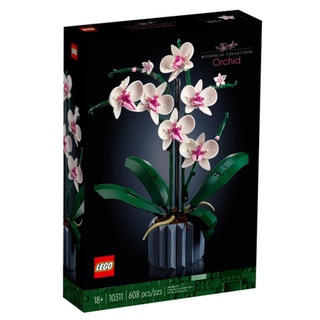 LEGO® Botanical Collection 10311 Orchid