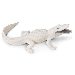 Safari Ltd. : SFR291929 โมเดลสัตว์ White Alligator