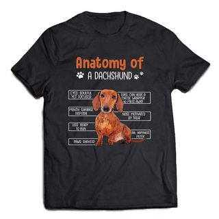 เสื้อยืด พิมพ์ลาย Anatomy of A Dachshund Eyes Soulful Yet Focused Ears Can Hear A Cheese Wrapper 10 Miles Away สไตล์คลาส