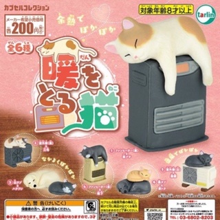 **พร้อมส่ง**กาชาปองน้องแมวฮีตเตอร์ของแท้