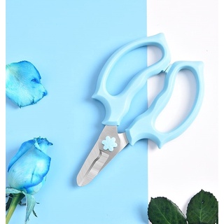 Florist scissors กรรไกรตัดแต่งดอกไม้