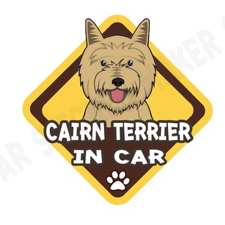 สติกเกอร์ติดรถ สติ๊กเกอร์ติดรถยนต์ สติกเกอร์หมา DGA58  Cairn Terrier dog