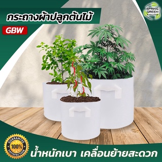 กระถางผ้า สีขาว กระถางผ้าปลูกต้นไม้ ถุงปลูกต้นไม้ กระถางต้นไม้ GBW Gallon ของแท้จาก SGE