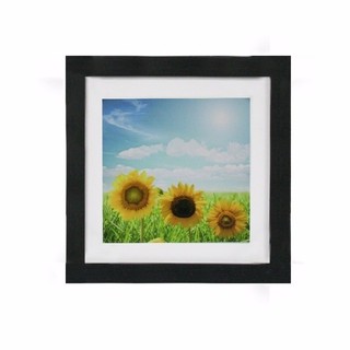 TSFกรอบรูป FRAME06 SUN FLOWERS 20x20 cm