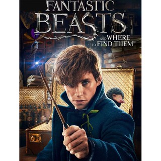 DVD สัตว์มหัศจรรย์และถิ่นที่อยู่ Fantastic Beasts : 2016 #หนังฝรั่ง - แฟนตาซี (ดูพากย์ไทยได้-ซับไทยได้)