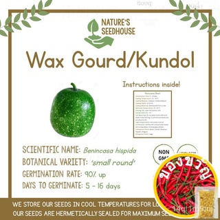 Cash on delivery Wax Gourd | Vegetable Seeds UDC8ผู้ชาย/ดอกไม้/เมล็ด/เมล็ด/แอปเปิ้ล/คื่นฉ่าย/หมวก/มะละกอ/สวน/ผักชี/ POIW