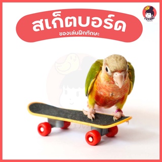 สเก็ตบอร์ด🛹 ของเล่นสำหรับนกแก้ว ซันคอนัวร์ กรีนชีค ค็อกคาเทล ฟอพัส ของเล่น ฝึกทักษะ ของเล่นนกแก้ว