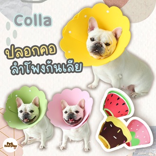 พร้อมส่ง📌ปลอกคอกันเลีย collar ลำโพงกันเลีย ปลอกคอป้องกันแผล