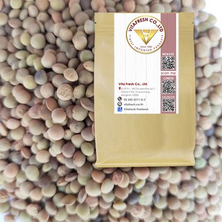 เลนทิลสีเขียว Green Lentil Raw เลนทิล ถั่วเลนทิล เขียว