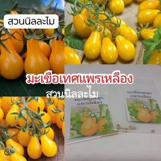 เมล็ดพันธุ์มะเขือลูกแพรเหลือง 15เมล็ด (มีเก็บเงินปลายทาง)