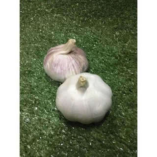 กระเทียมสดหัว/ปอก/กลีบ 🧄 - กระเทียมนอก กะเทียม ผักผลไม้สด
