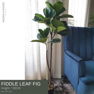 Fiddle Leaf Fig- ไทรใบสัก 130CM ต้นไม้ปลอมใหญ่เกรดพรีเมี่ยม ต้นไม้ประดิษฐ์ ตกแต่งบ้าน ตกแต่งคอนโด Artificial Plant