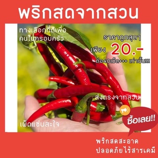 พริดสดใหม่ไร้สารเคมี ส่งตรงจากสวนแพคห่อด้วยถุงสูญญากาศอย่างดี
