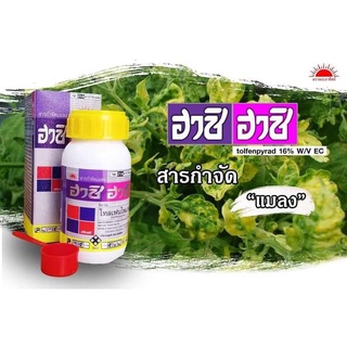 ฮาชิฮาชิ 💢 โทลเฟนไพแรด 16%💢 500 ซีซี