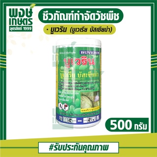 บูเวริน (Beauveria bassiana) ขนาด 500 กรัม  พงษ์เกษตรอุตรดิตถ์