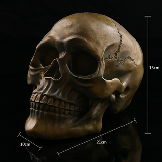 JAPAN โมเดล หัวกะโหลก สุดโหด วัสดุ เรซิ่น Resin กะโหลกผี Skull ตกแต่งบ้าน ปาร์ตี้ฮาโลวีน Halloween ของขวัญ Gift Limited