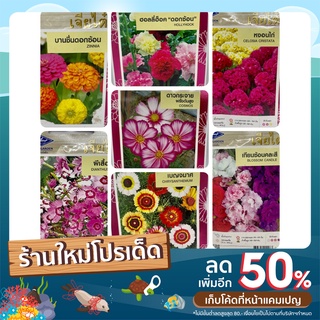 เมล็ดพันธุ์ดอกไม้ คละลายพันธุ์เจียไต๋ มี 7 เมล็ดพันธุ์