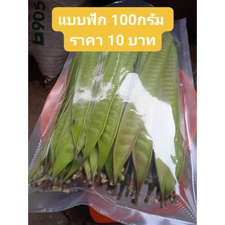 ฟักเม็ดกระถิน 100กรัม