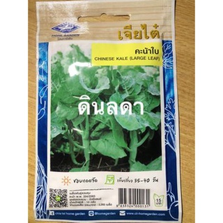 คะน้าใบ เมล็ดพันธุ์เจียไต๋  สินค้าพร้อมส่ง