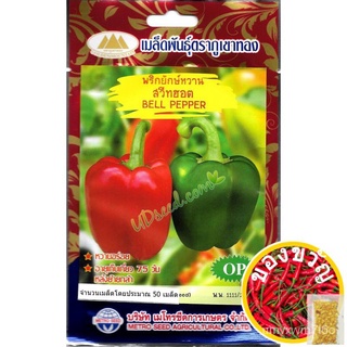 เมล็ดอวบอ้วน100%เมล็ดพริกยักษ์หวาน สวีทฮอต BELL PEPPER  เมล็ดพริกหวาน เมล็ดพริก เมล็ดผักสวนครัว เมล็ดพันธุ์ผัก ตราภูเขาท