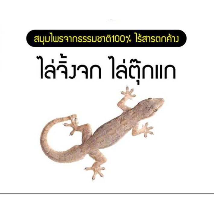 ไล่หนู ไล่นก ไล่จิ้งจก 1ลิตร (KR-1) แมลงหวี่ แมลงวัน มด แมลงสาบ ค้างคาว งู ฯลฯ 1ลิตร (korea) คุ้มค่า ราคาโรงงาน - รูปที่ 4