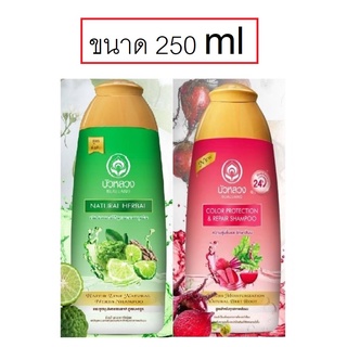 Bualuang Color Protection Repair Shampoo 250ml บัวหลวง คัลเลอร์ โพรเทคชั่น แชมพู-เล็ก (1 ขวด)