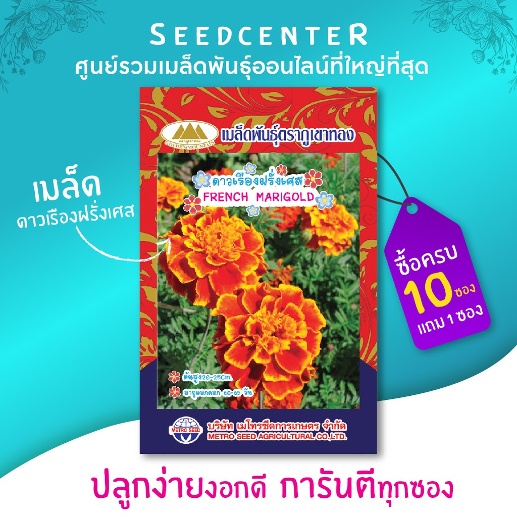 เมล็ดดอกดาวเรืองฝรั่งเศส ตราสี่ทิศ