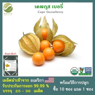 เมล็ดเคพกูส เบอรี่ จำนวน 25-30 เมล็ด