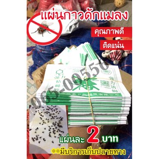 🪰กาวดักเเมลงวัน อย่างดี พร้อมส่ง🪰 (1 เเพ็ค 10 อัน )