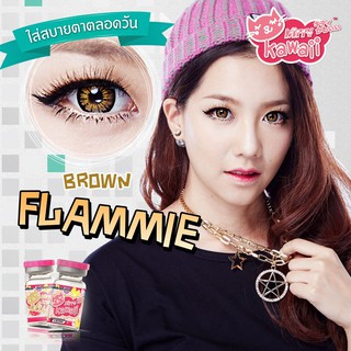 Flammie Brown (1)(2) Kitty Kawaii บิ๊กอาย สีน้ำตาล น้ำตาล เน้นขอบดำ Bigeyes คอนแทคเลนส์ Contact Lens สายตาสั้น ค่าสายตา