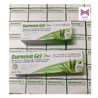 Burnova Gel Plus 70g. เบอร์นโนว่า เจล พลัส เจลว่านหางจระเข้