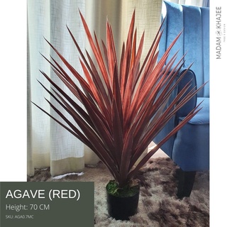 Agave ต้นปรง ขนาดสูง 70 CM ต้นไม้ปลอมเกรดพรีเมี่ยม มาดามขจี  Premium Artificial Plant